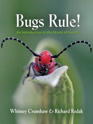 cover image of Bugs Rule!